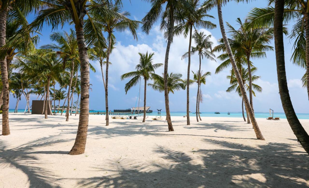 Hotel Blanco Tulum Adults Only Εξωτερικό φωτογραφία